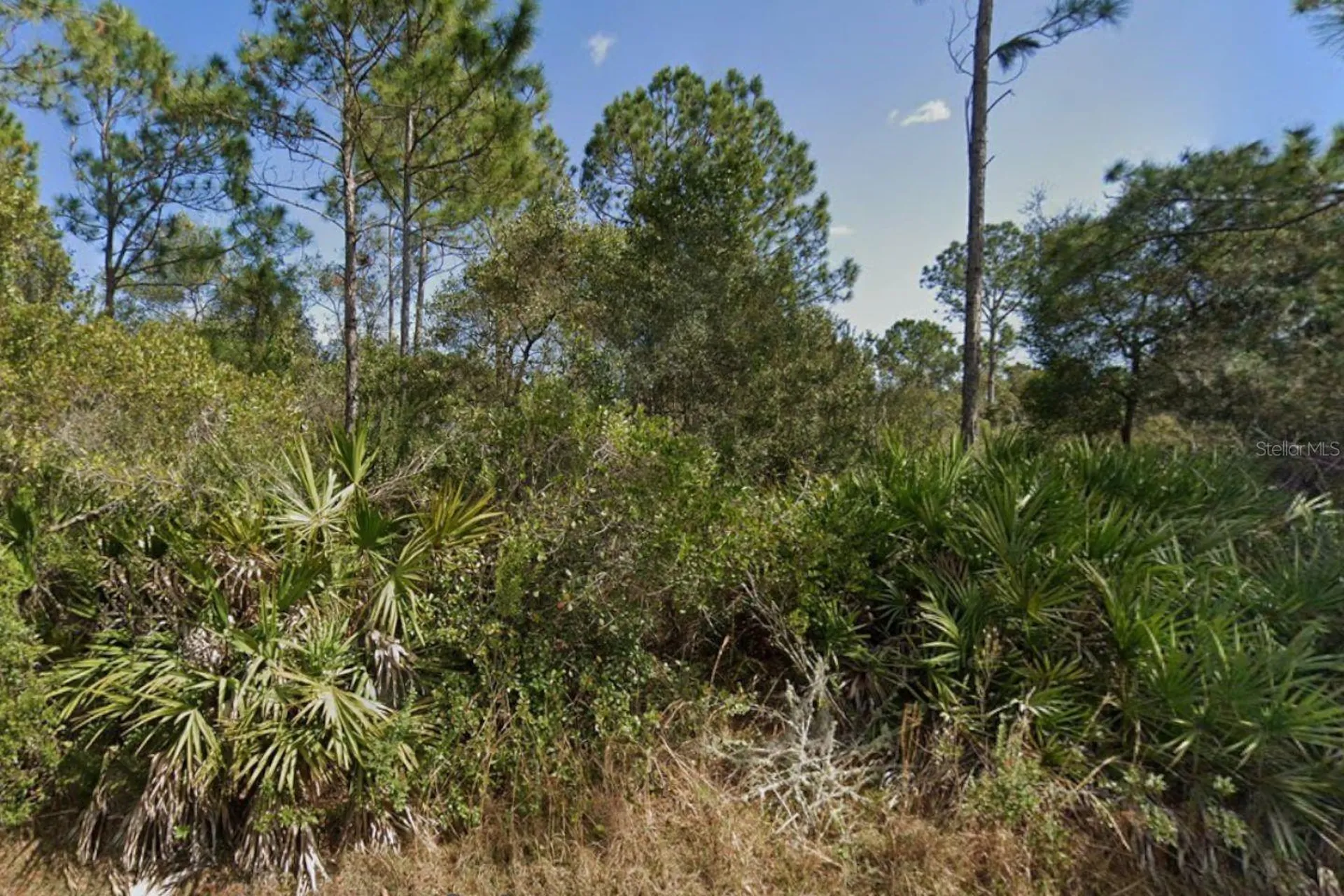 29 Ulmaceal Path Palm Coast FL 32164