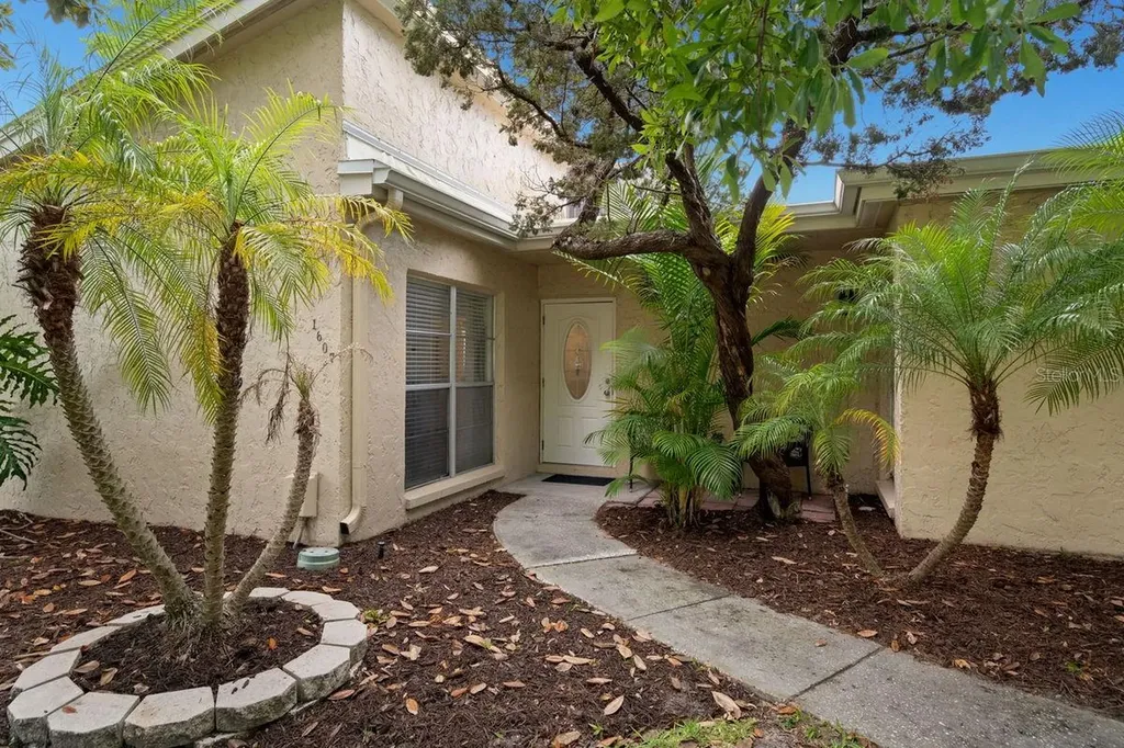 1607 Amberlea Drive S Dunedin FL 34698