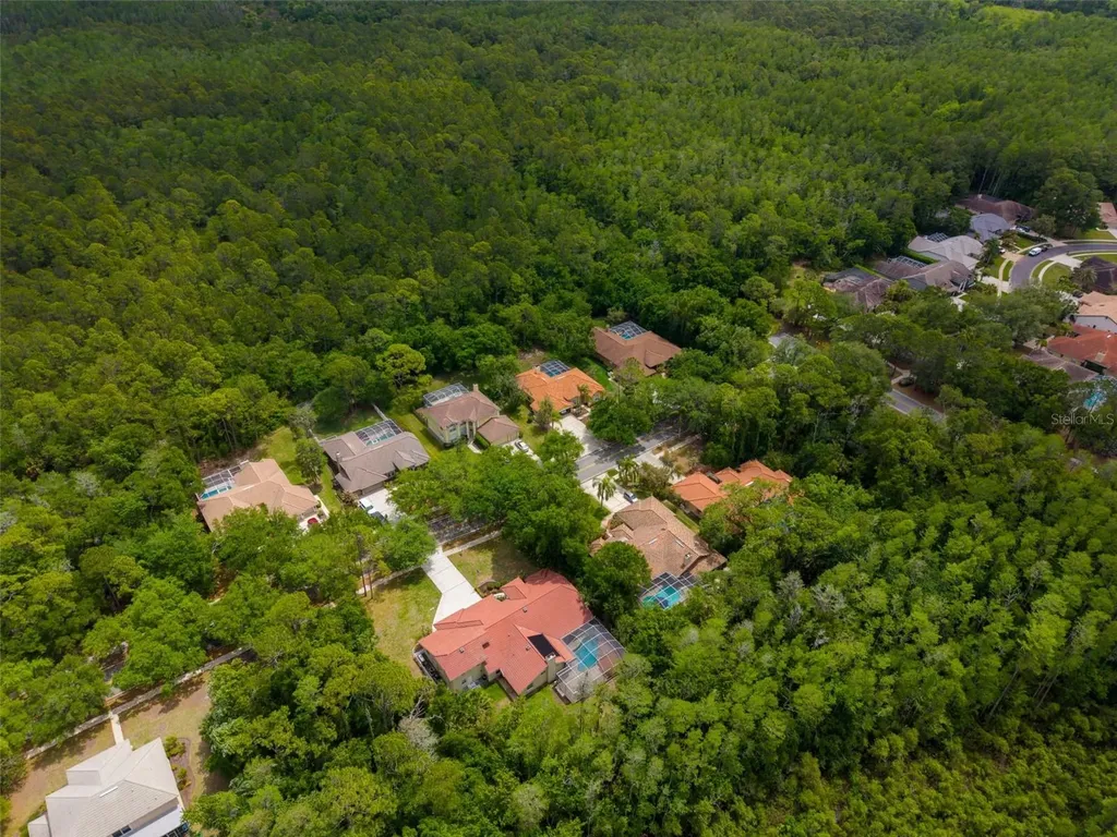 1404 East Lake Woodlands Parkway Oldsmar FL 34677