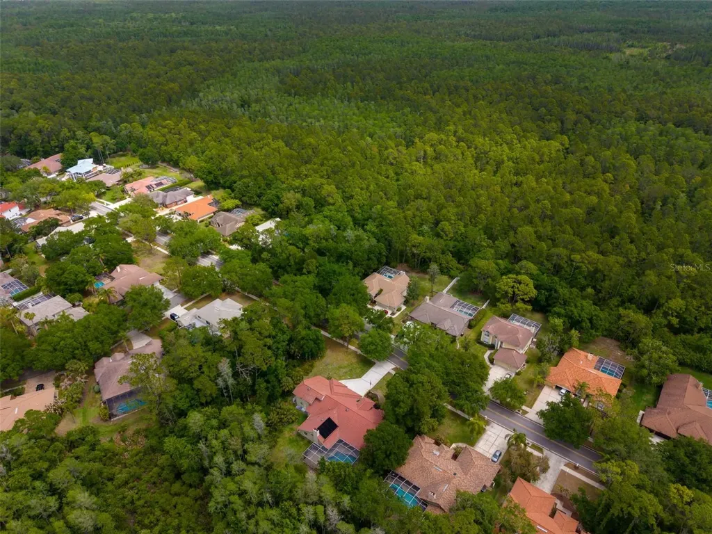 1404 East Lake Woodlands Parkway Oldsmar FL 34677