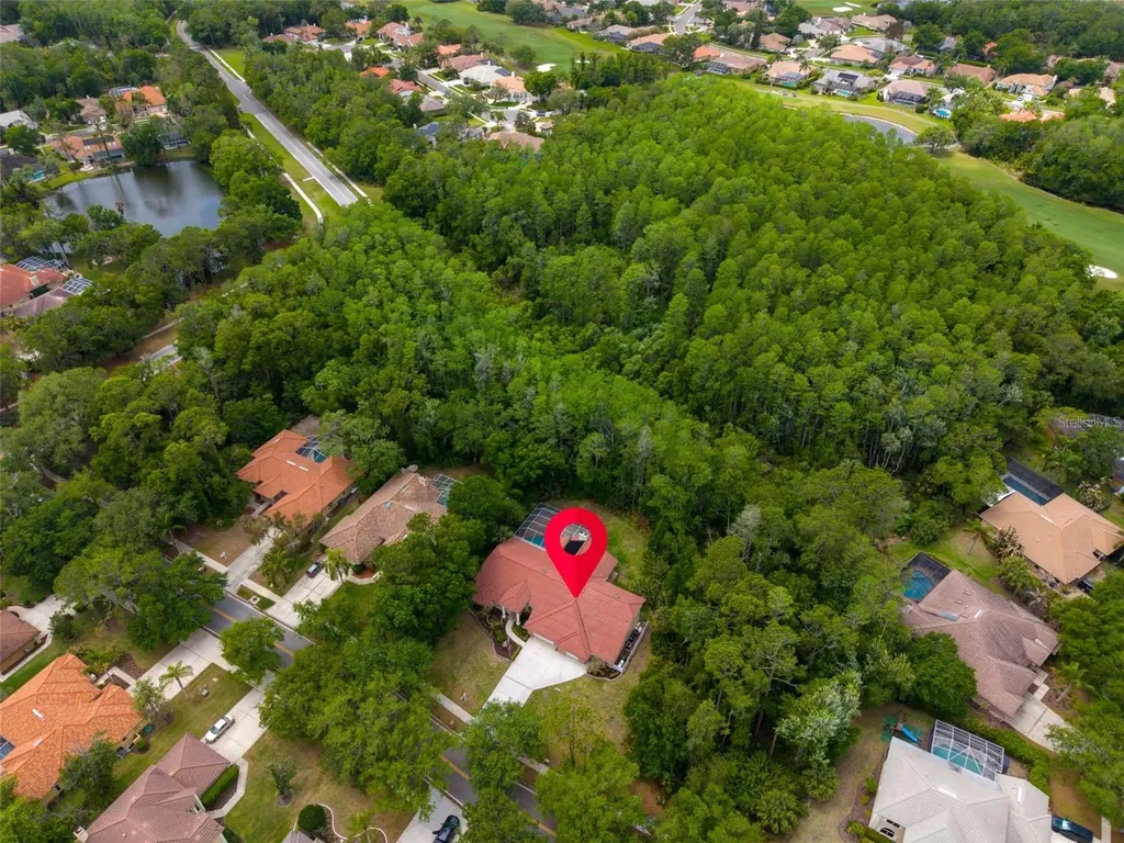 1404 East Lake Woodlands Parkway Oldsmar FL 34677