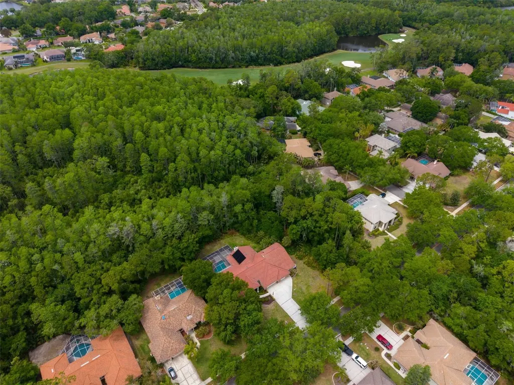1404 East Lake Woodlands Parkway Oldsmar FL 34677