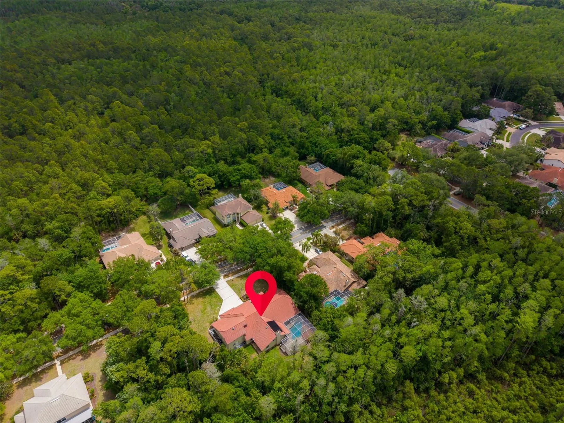 1404 East Lake Woodlands Parkway Oldsmar FL 34677