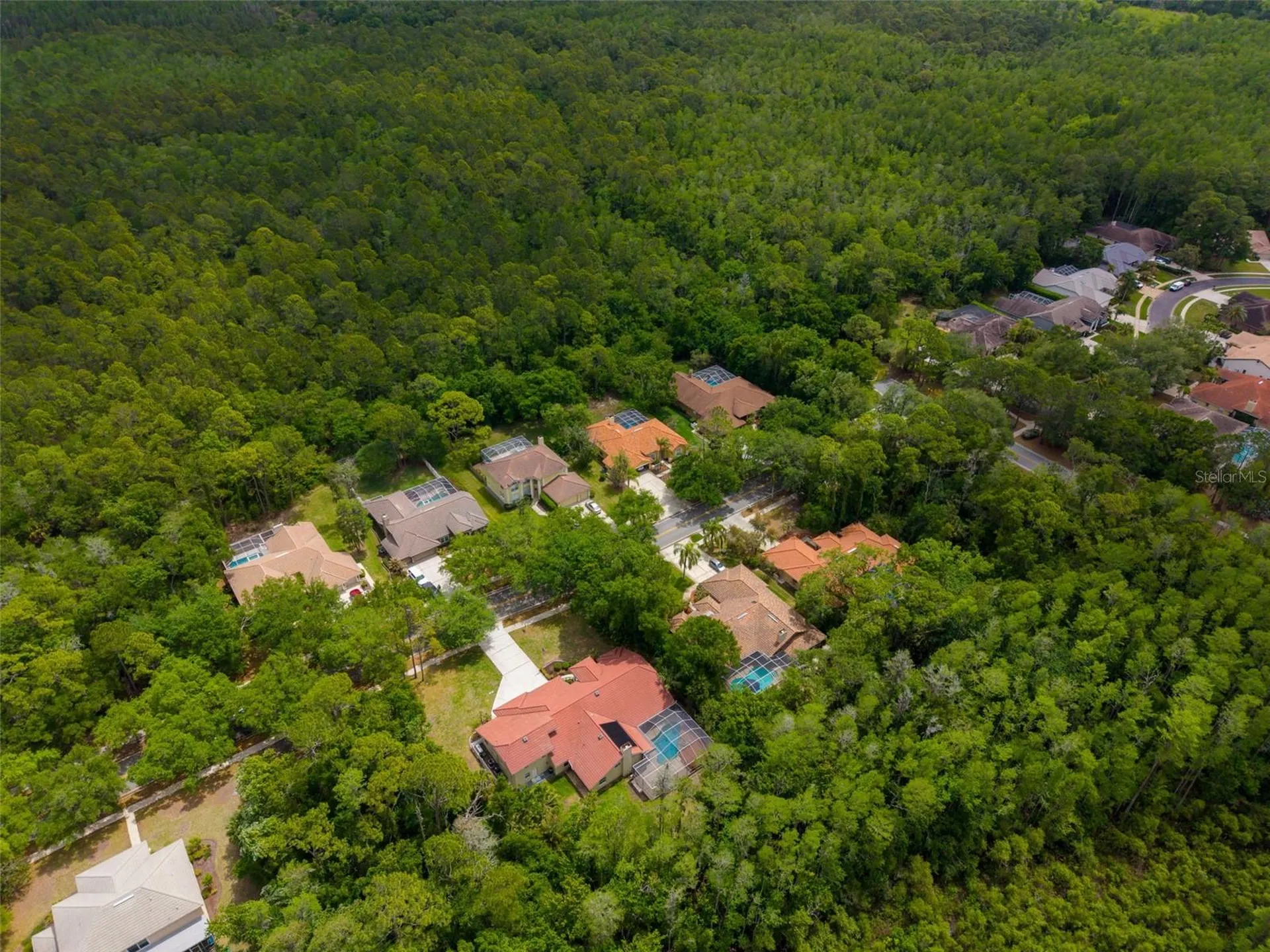 1404 East Lake Woodlands Parkway Oldsmar FL 34677