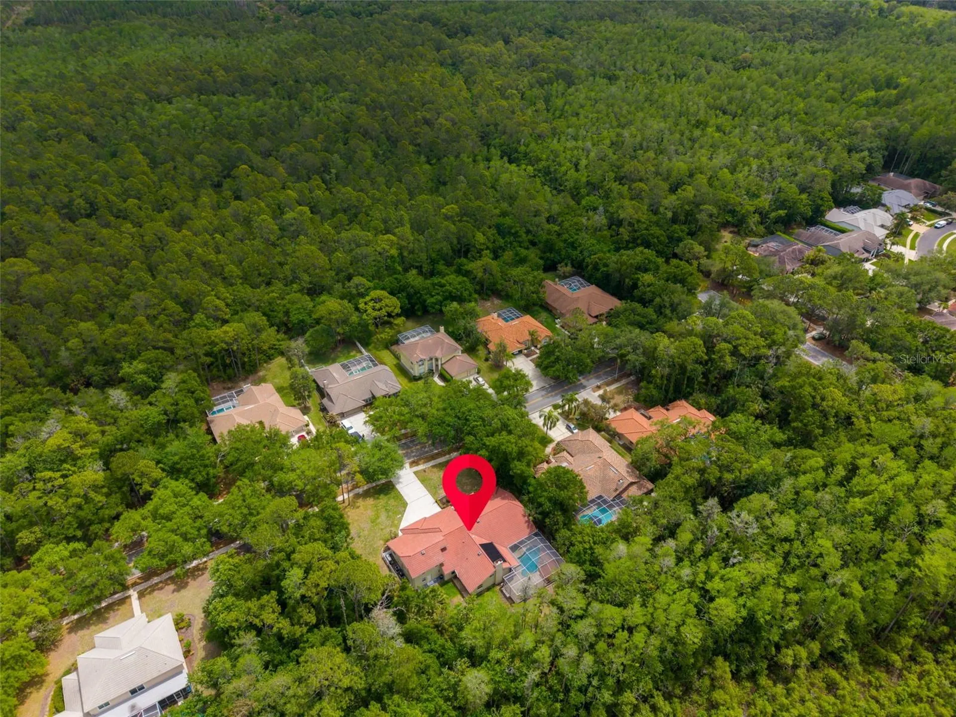 1404 East Lake Woodlands Parkway Oldsmar FL 34677