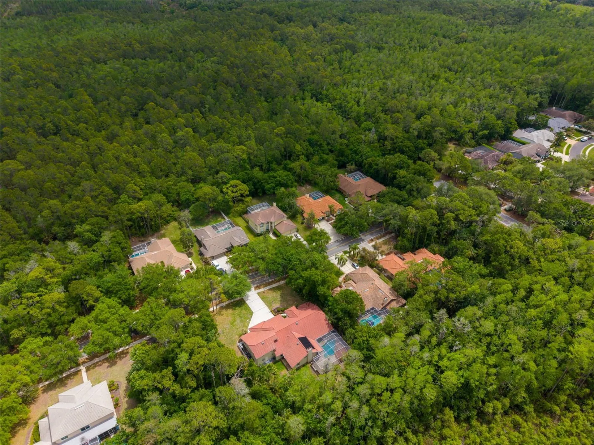 1404 East Lake Woodlands Parkway Oldsmar FL 34677