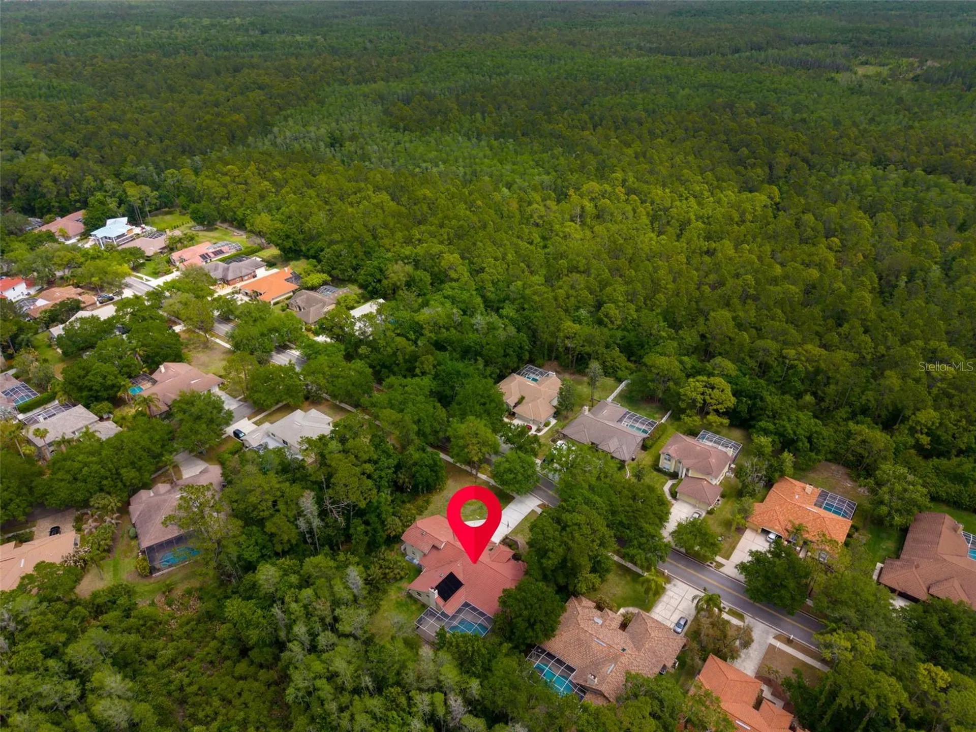 1404 East Lake Woodlands Parkway Oldsmar FL 34677