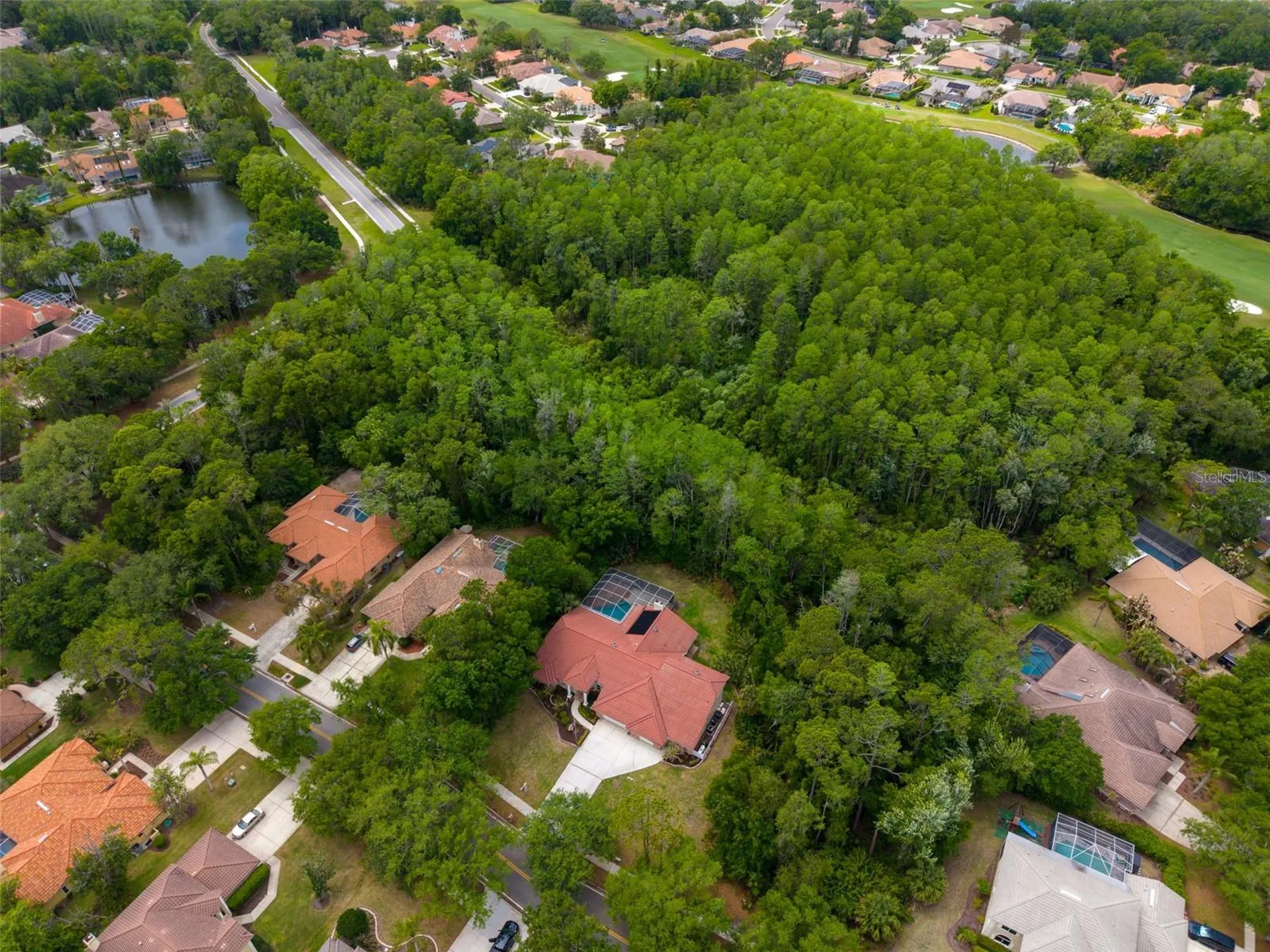 1404 East Lake Woodlands Parkway Oldsmar FL 34677