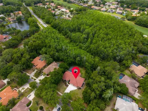 1404 East Lake Woodlands Parkway Oldsmar FL 34677