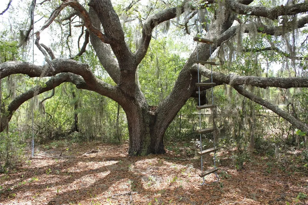 8225 Wakeford Road Lake Wales FL 33898