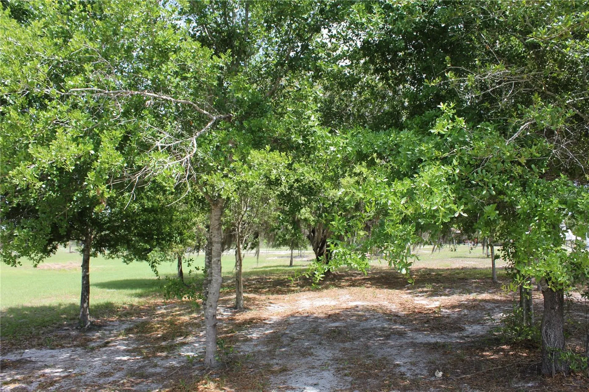 8225 Wakeford Road Lake Wales FL 33898
