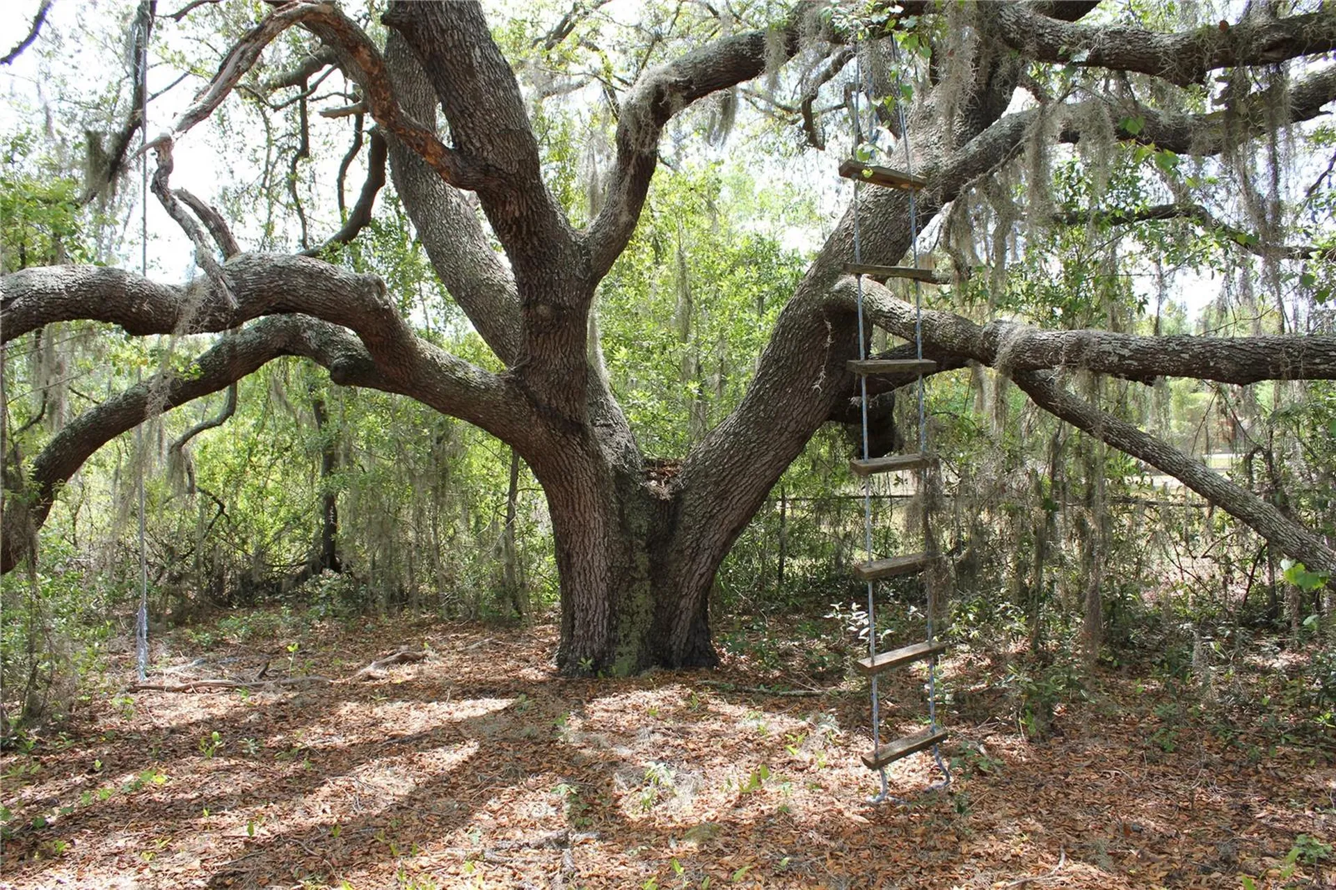 8225 Wakeford Road Lake Wales FL 33898