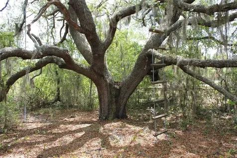 8225 Wakeford Road Lake Wales FL 33898