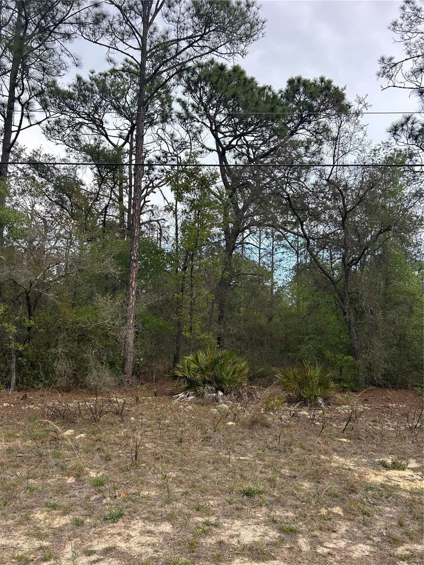742 E Weldon Lane Dunnellon FL 34434