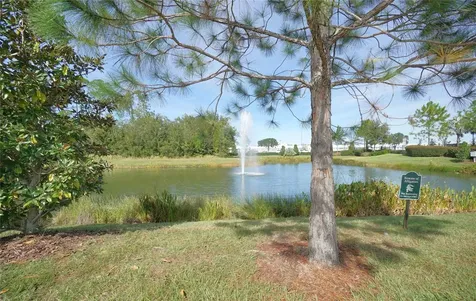 30399 Marquette Avenue Wesley Chapel FL 33545