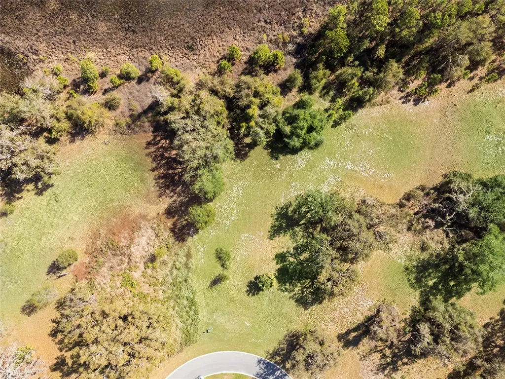 476 Long And Winding Road Howey In The Hills FL 34737