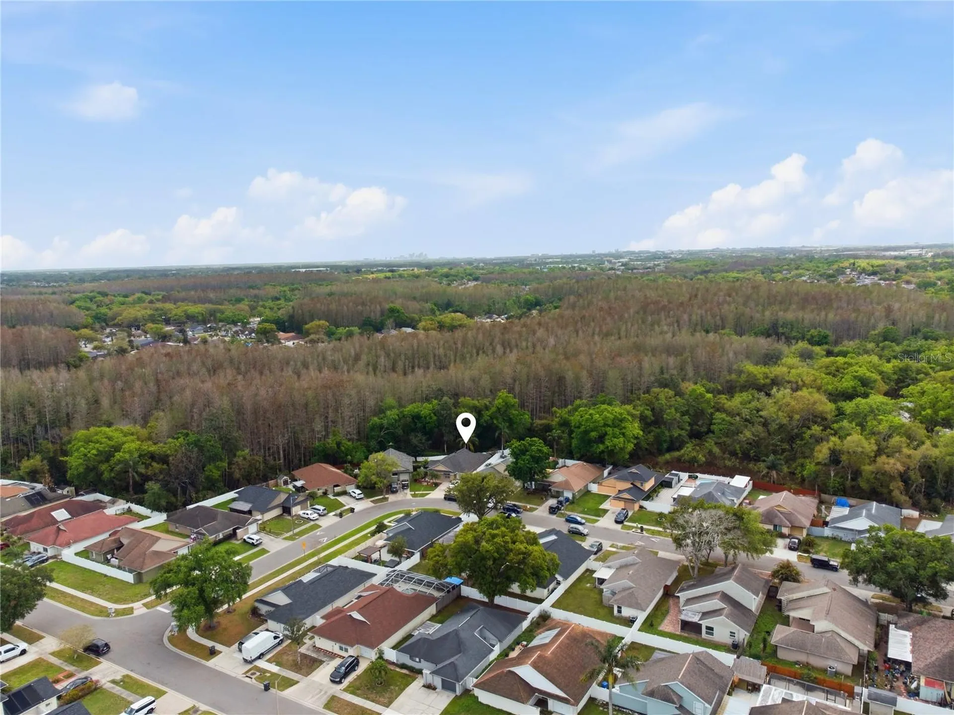 11914 Sugar Tree Drive Tampa FL 33625