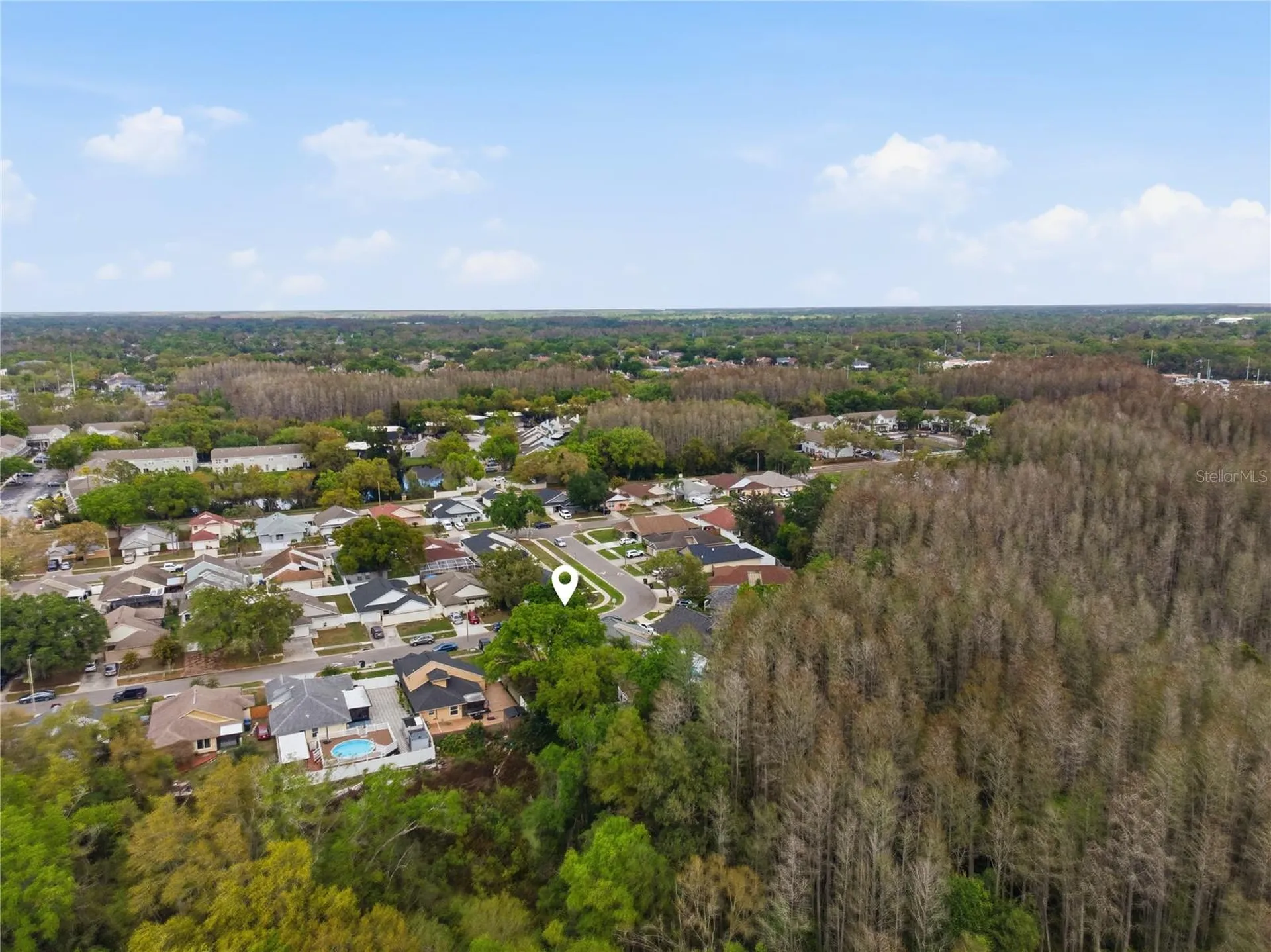 11914 Sugar Tree Drive Tampa FL 33625