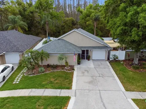 11914 Sugar Tree Drive Tampa FL 33625