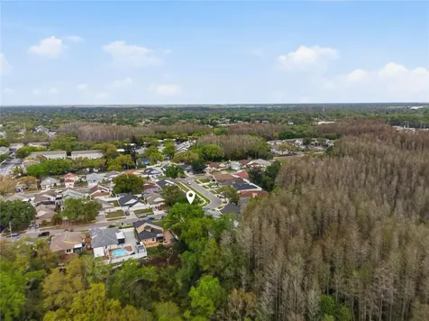 11914 Sugar Tree Drive Tampa FL 33625