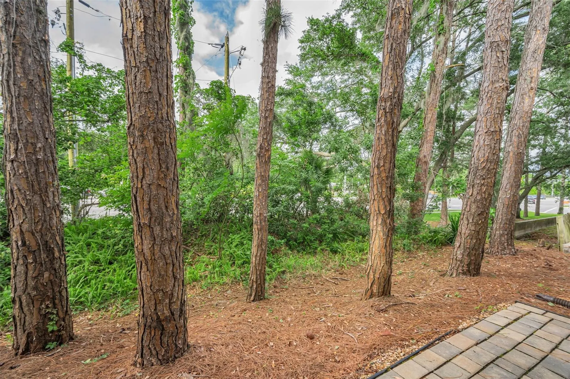 3460 Countryside Boulevard Clearwater FL 33761