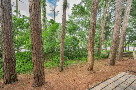 3460 Countryside Boulevard Clearwater FL 33761