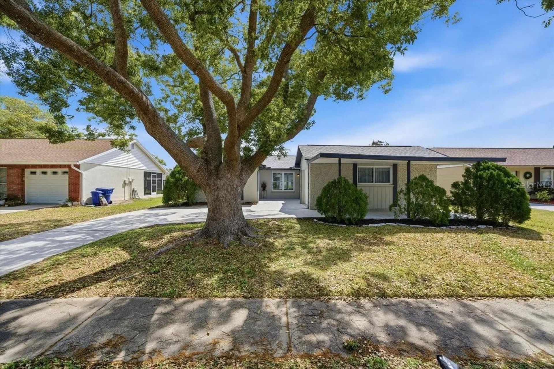 3142 Loomis Drive New Port Richey FL 34655