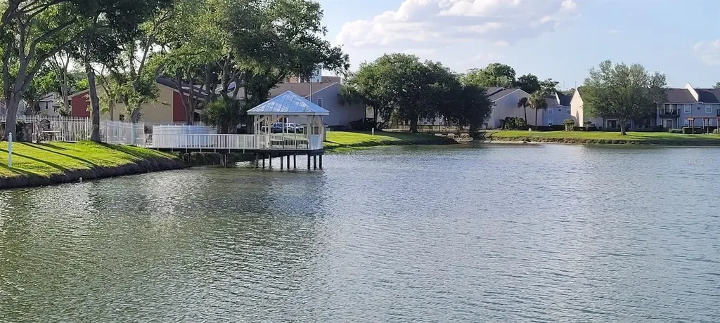 302 Lake Parsons Green Brandon FL 33511