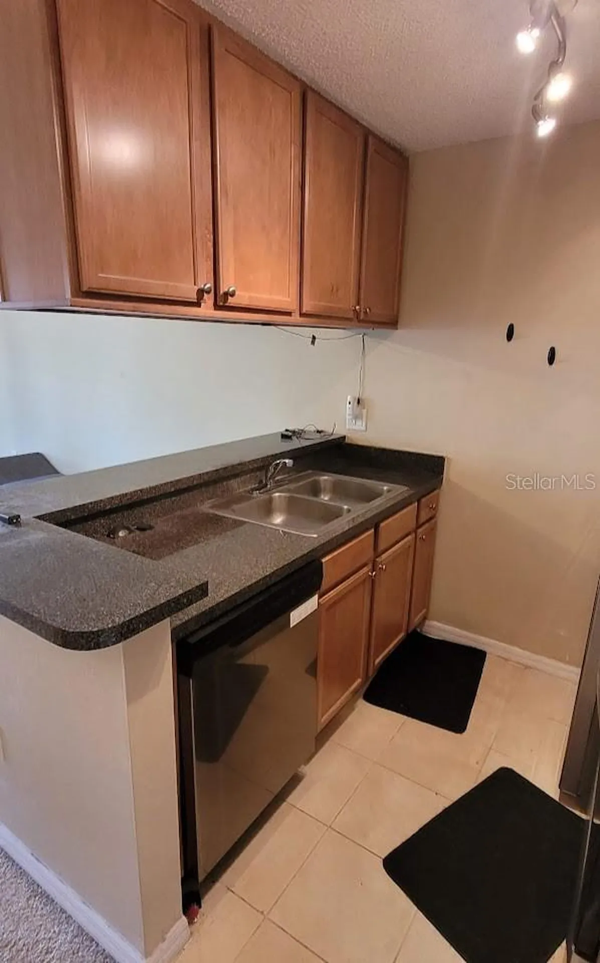 302 Lake Parsons Green Brandon FL 33511