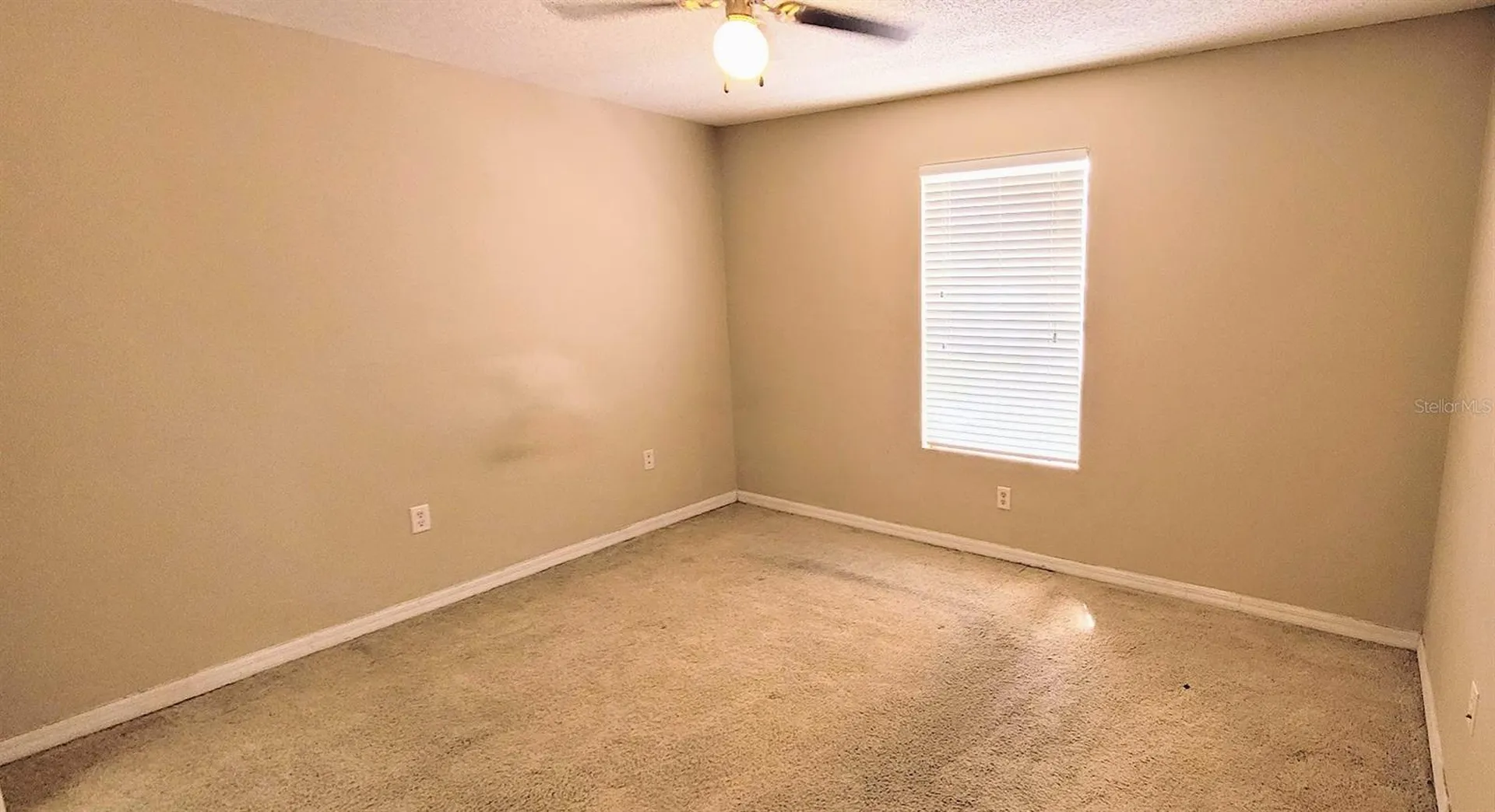 302 Lake Parsons Green Brandon FL 33511