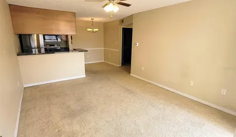 302 Lake Parsons Green Brandon FL 33511