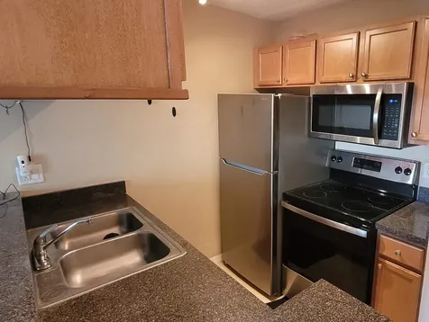 302 Lake Parsons Green Brandon FL 33511