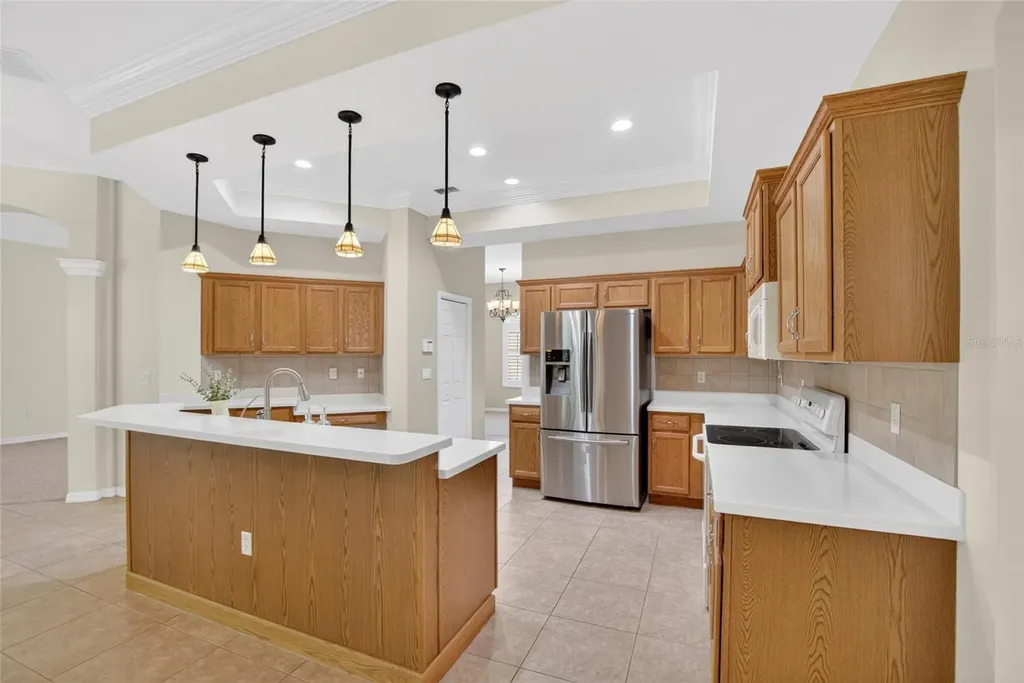 21234 Tangor Road Land O Lakes FL 34637