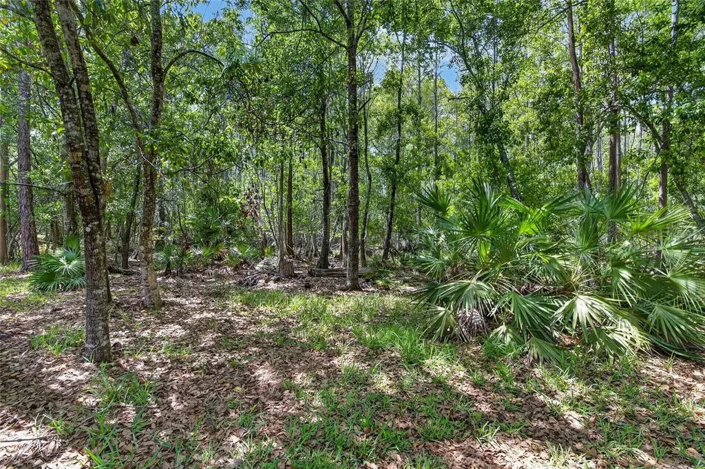 21234 Tangor Road Land O Lakes FL 34637