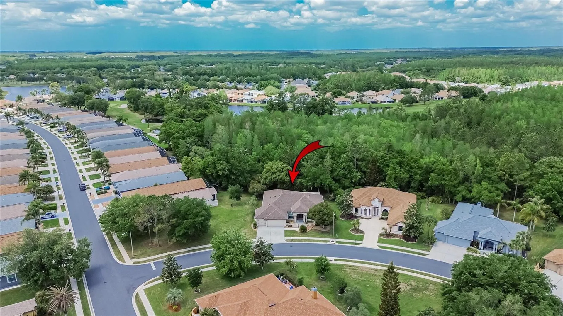 21234 Tangor Road Land O Lakes FL 34637