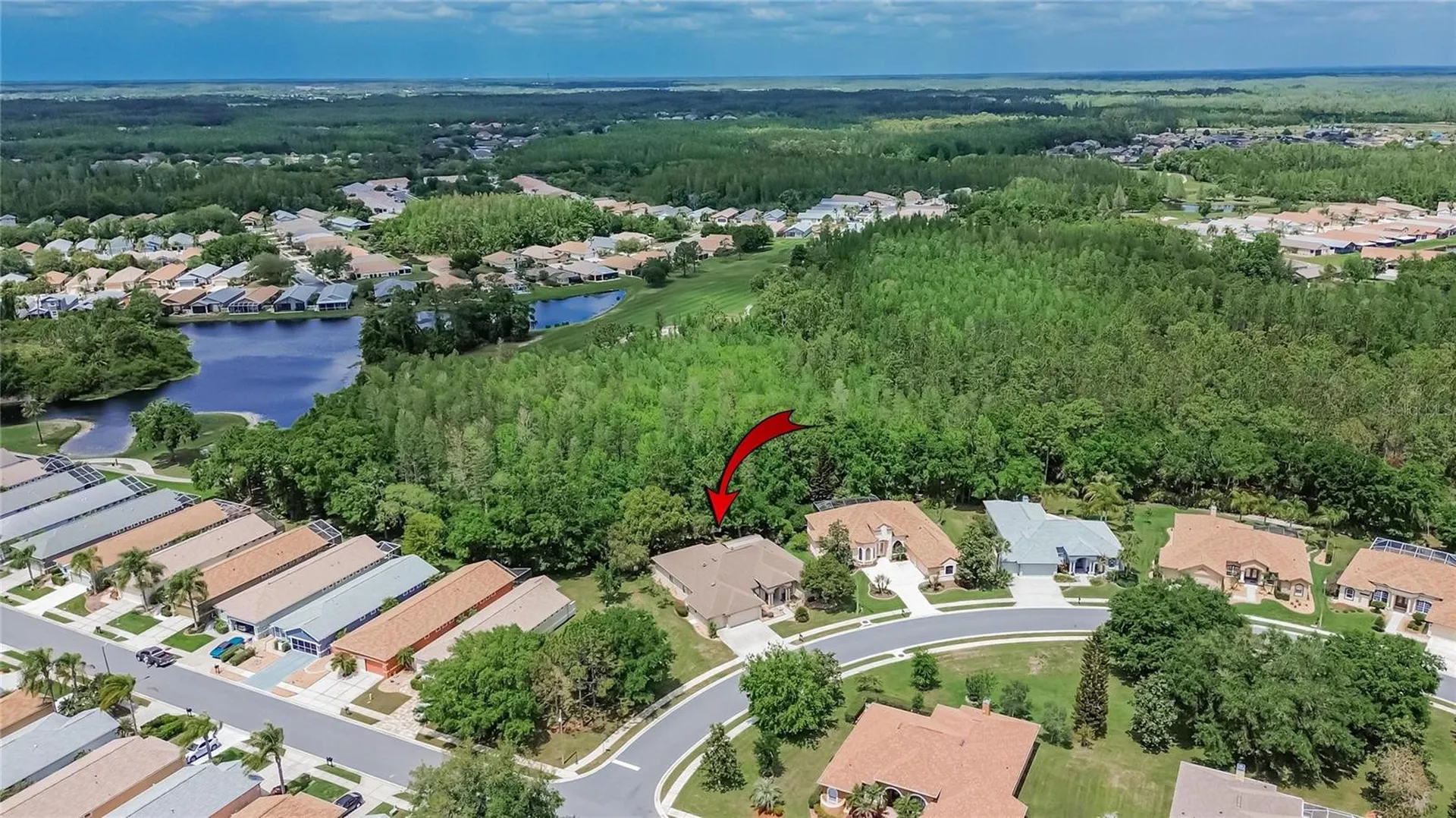 21234 Tangor Road Land O Lakes FL 34637