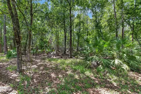 21234 Tangor Road Land O Lakes FL 34637