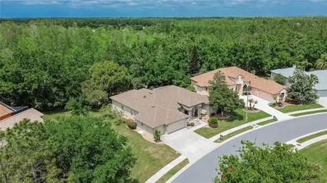 21234 Tangor Road Land O Lakes FL 34637