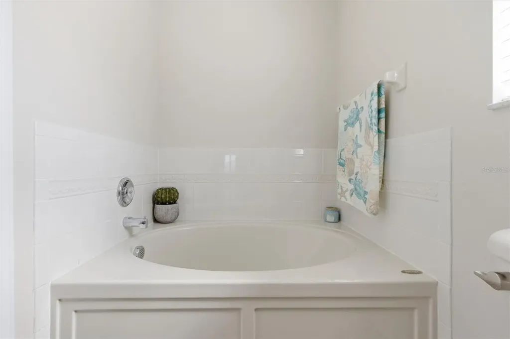 25831 Syme Court Land O Lakes FL 34639
