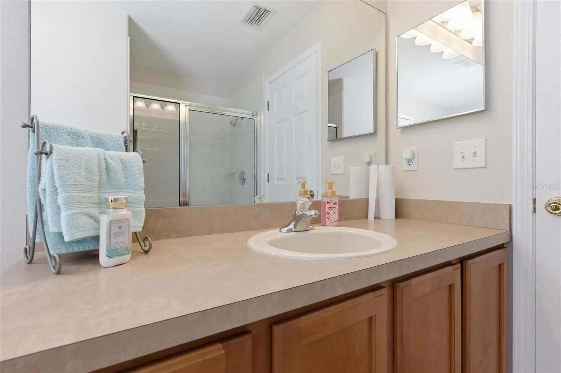25831 Syme Court Land O Lakes FL 34639