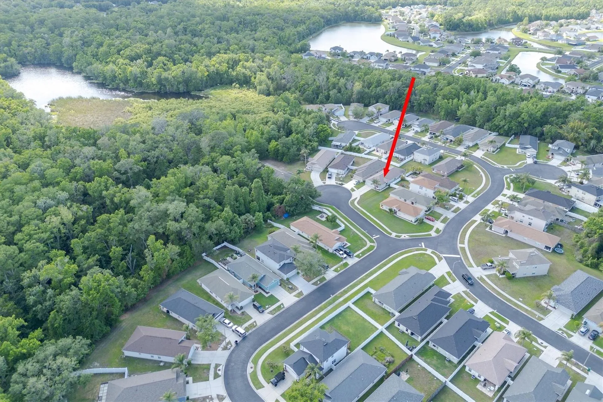 25831 Syme Court Land O Lakes FL 34639