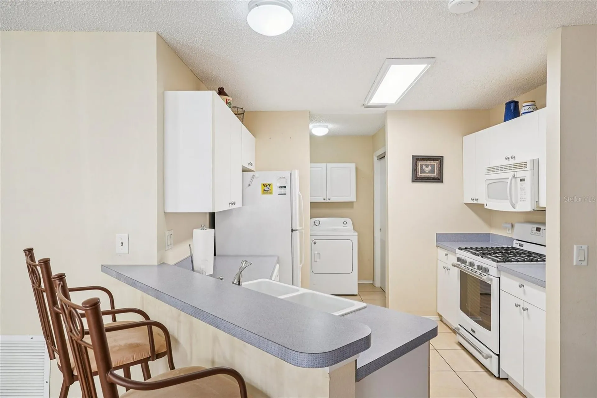 17263 SE 93rd Demoss Court The Villages FL 32162