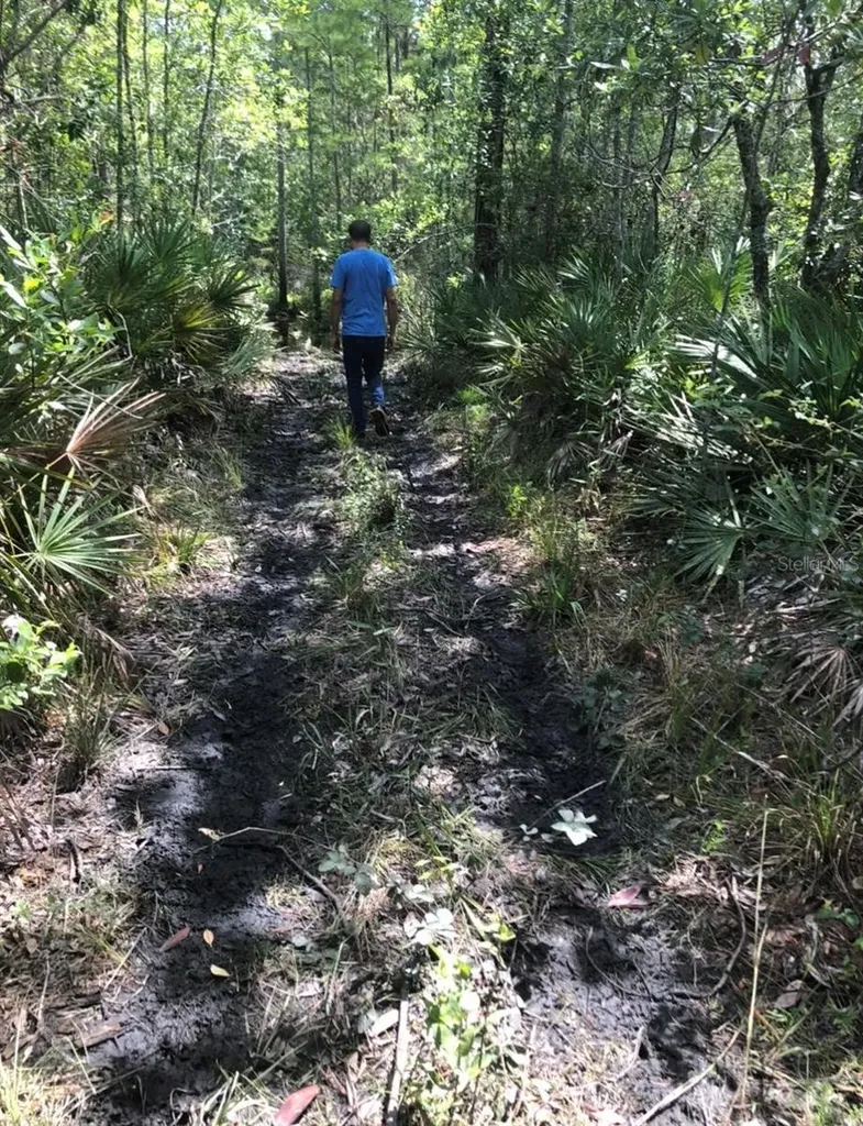 2449 Old Train Road Deltona FL 32738