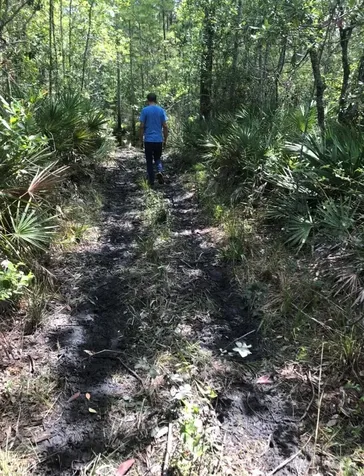 2449 Old Train Road Deltona FL 32738