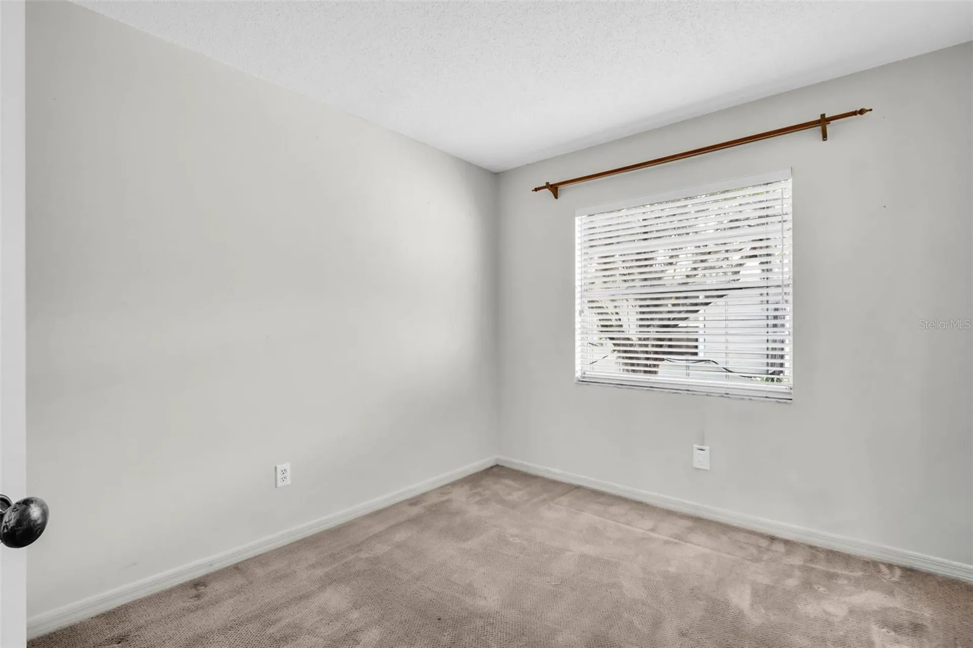 5341 Southwick Drive Tampa FL 33624