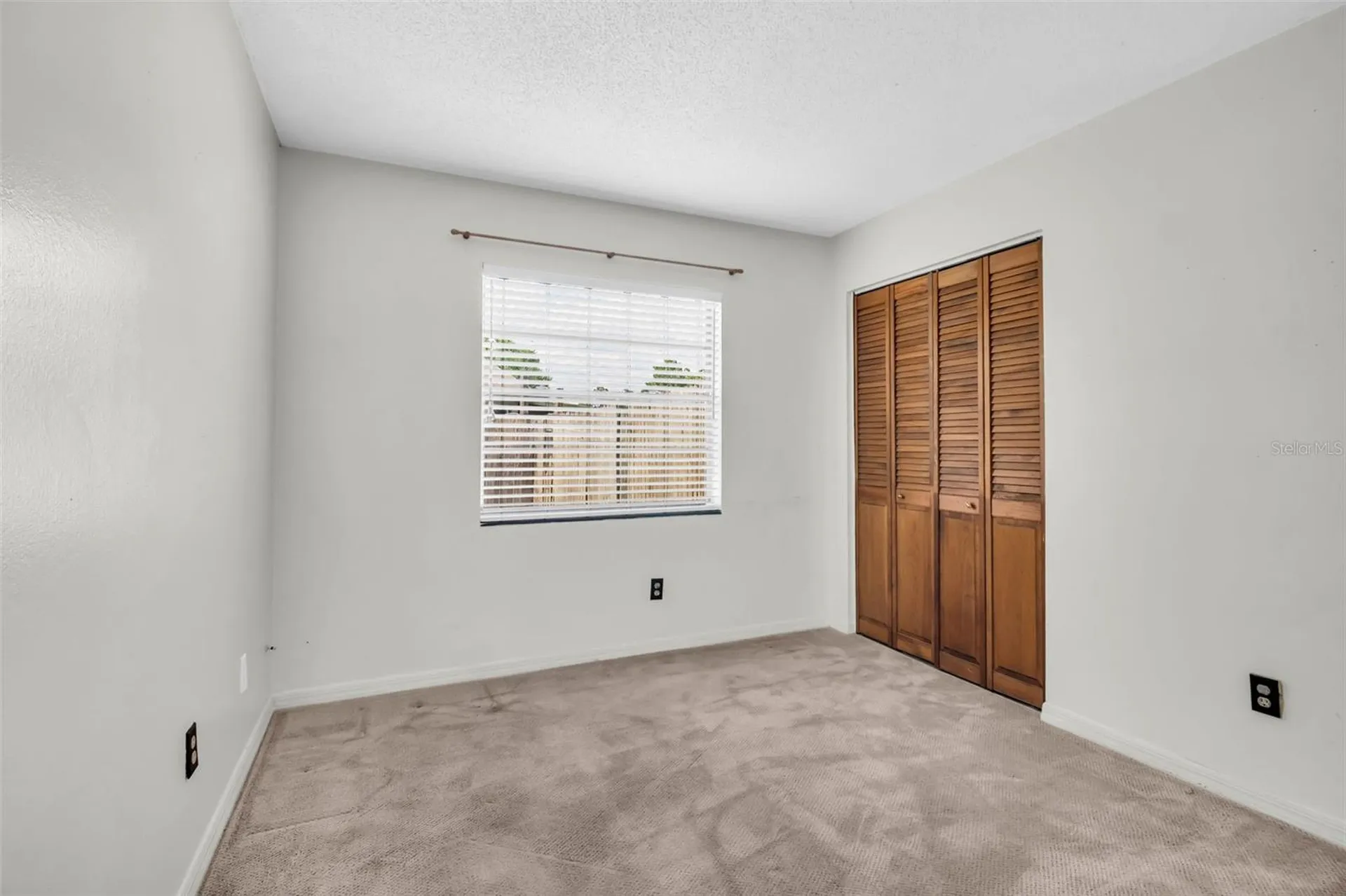 5341 Southwick Drive Tampa FL 33624