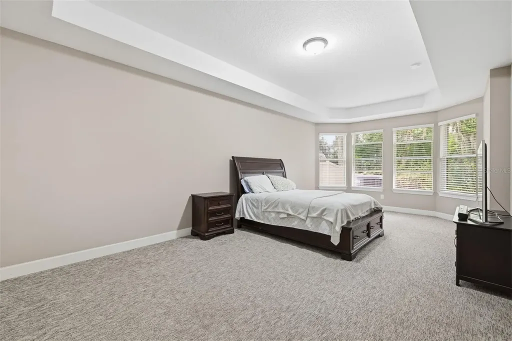 10431 Alcon Blue Drive Riverview FL 33578