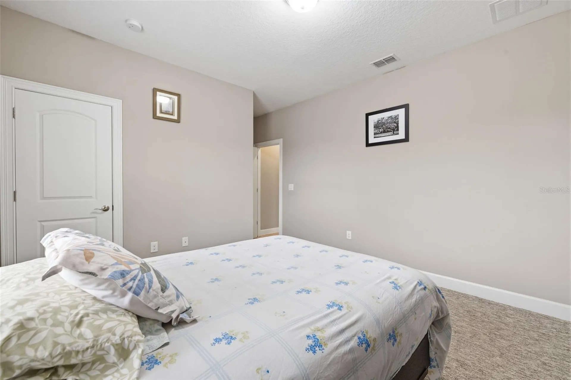 10431 Alcon Blue Drive Riverview FL 33578