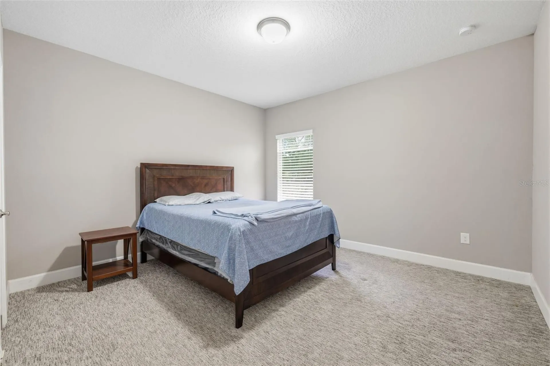 10431 Alcon Blue Drive Riverview FL 33578