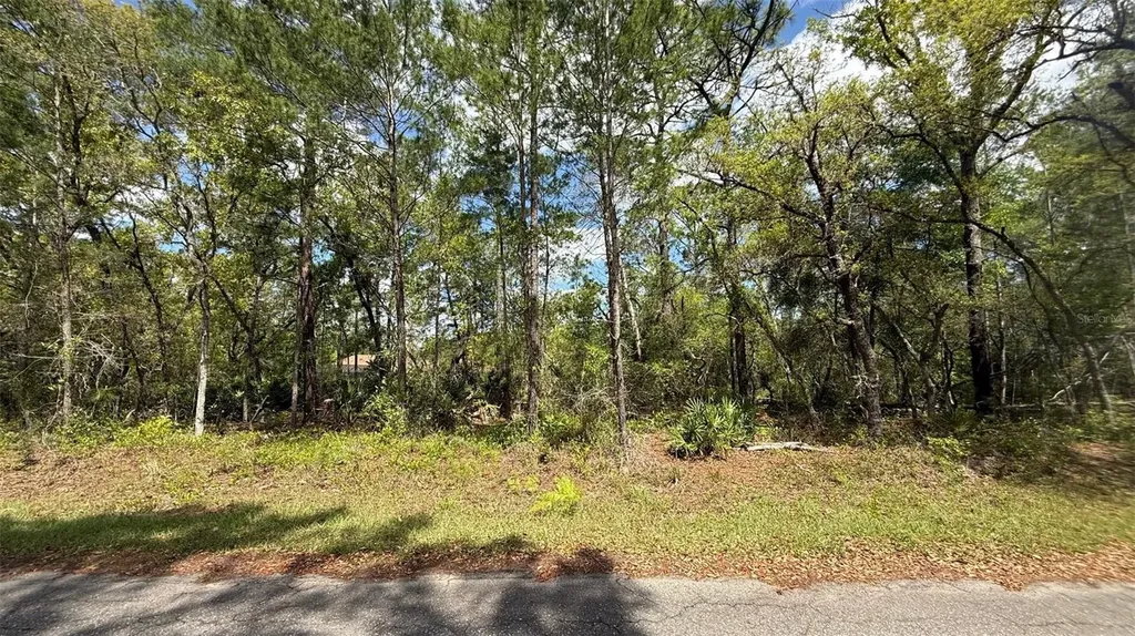Lot 15 Bay Court Ocklawaha FL 32179